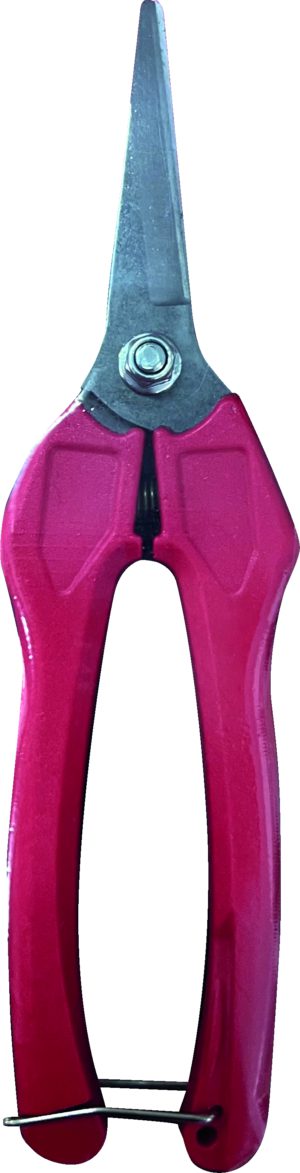 Tesoura p/ Vindima 18 cm