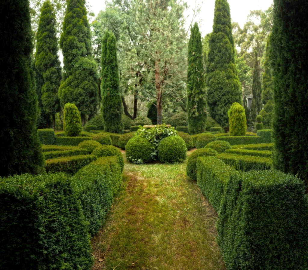 Jardim formal com labirinto de sebes geométricas e arbustos esculpidos em topiária redonda, rodeado por ciprestes altos e caminho de relva central.