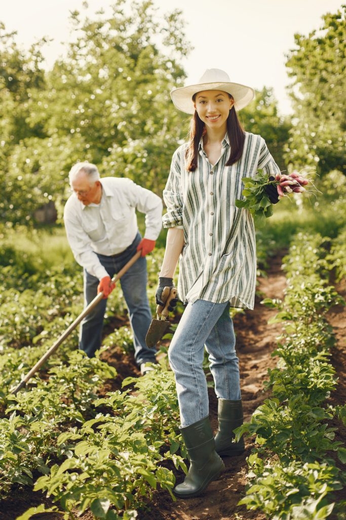 Uma jovem agricultora sorridente com chapéu de palha e galochas segura rabanetes frescos numa horta, enquanto um homem idoso usa uma enxada ao fundo entre linhas de cultivo.